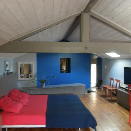Le Logis De La Colombe Bed & Breakfast Le Puy-en-Velay
